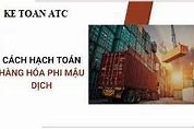 Hạch Toán Thuế Nhập Khẩu Hàng Phi Mậu Dịch