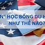 Học Bổng Ngành Y Của Mỹ 2024 Mới Nhất Download