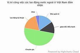 Số Lượng Người Nước Ngoài Tại Việt Nam